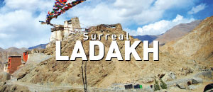 Surreal Leh Ladakh tour packages
