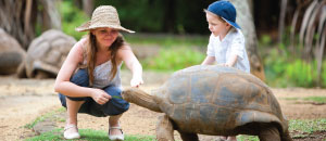 5 Best Destinations with Visa on Arrival