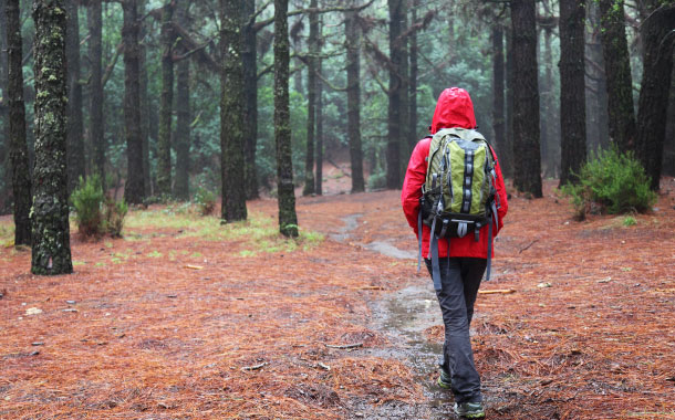 10 Travel Tips for Monsoon 10 Travel Tips for Monsoon