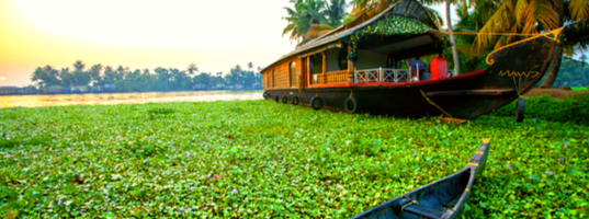 Alleppey Shikara Alleppey Shikara