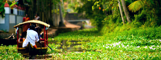 Alleppey Alleppey