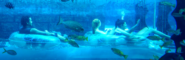Aquaventure and Lost Chambers Aquaventure and Lost Chambers