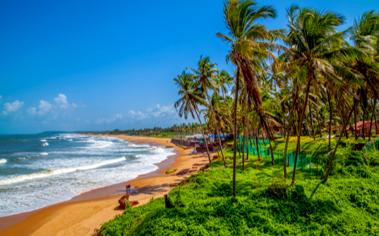 Arrive in Goa Arrive in Goa