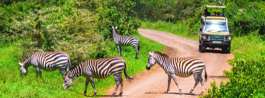 Arusha Arusha