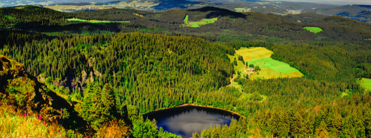 Black Forest Black Forest