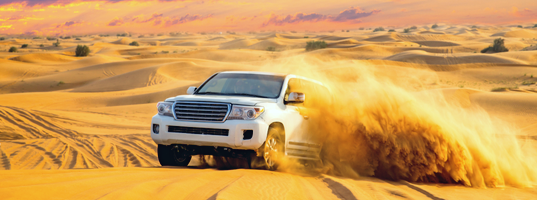 Desert safari Desert safari