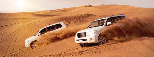 Desert Safari Desert Safari