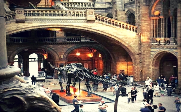 Dinosaur skeleton, London Dinosaur skeleton, London