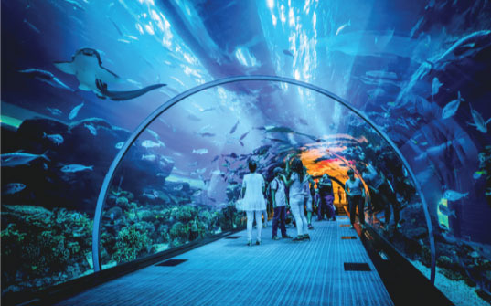 Dubai Aquarium & Underwater Zoo Dubai Aquarium & Underwater Zoo