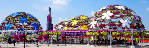Dubai Miracle Garden Dubai Miracle Garden