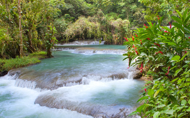 Jamaica Jamaica