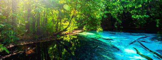 Emerald Pool Emerald Pool