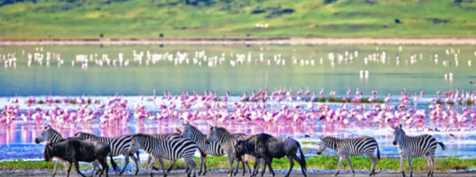Lake Nakuru Lake Nakuru