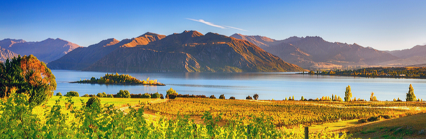 Lake Wanaka Lake Wanaka