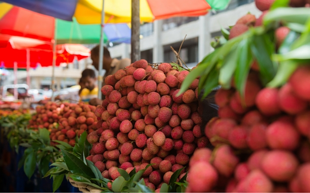 Lychee of Mauritius Lychee of Mauritius