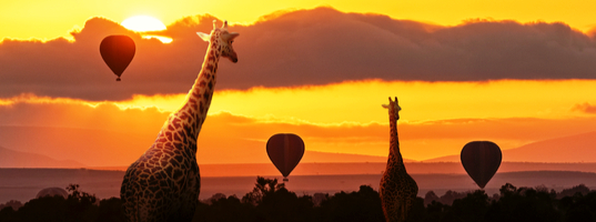 Masai Mara Hot air balloon ride Masai Mara hot air balloon ride