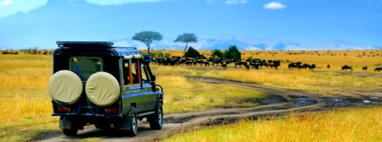 Masai Mara Masai Mara