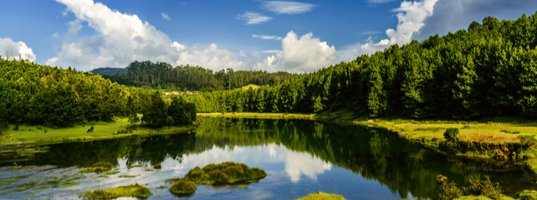 Ooty Ooty