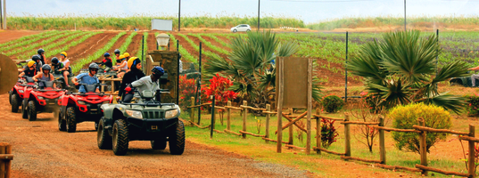 Quad biking Quad biking