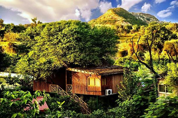 The Treehouse Resort, Jaipur The Treehouse Resort, Jaipur