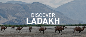 Discover Leh Ladakh Tour Packages