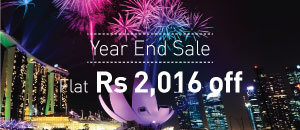 Year End Sale - 2015